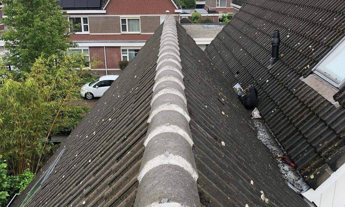 Nokvorsten Soest